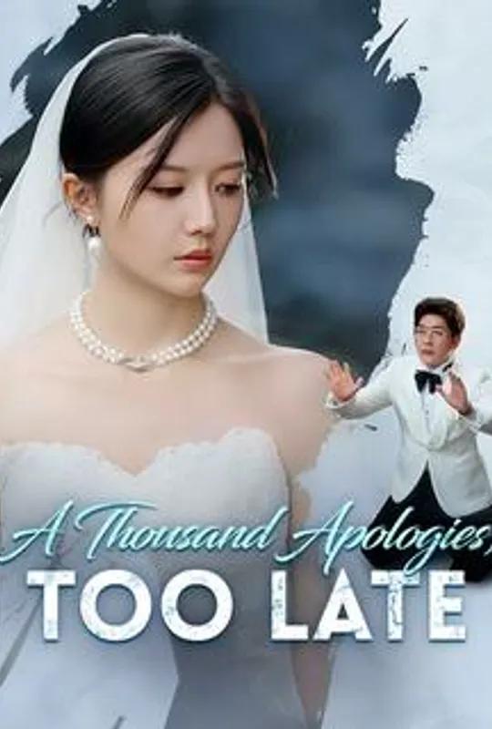 A Thousand Apologies, Too Late poster