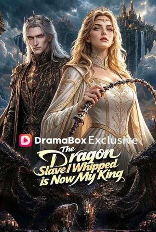 The Dragon Slave I Whipped is Now My King poster