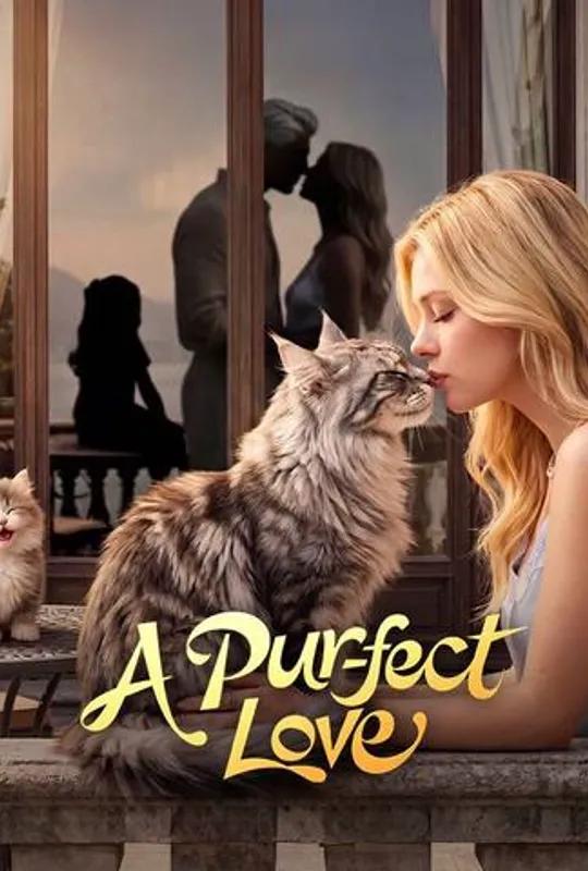 A Purr-fect Love poster