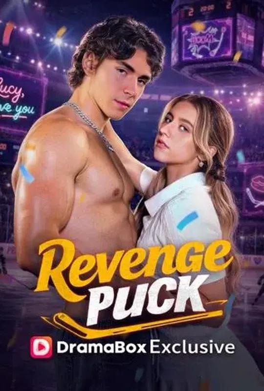 Revenge Puck poster