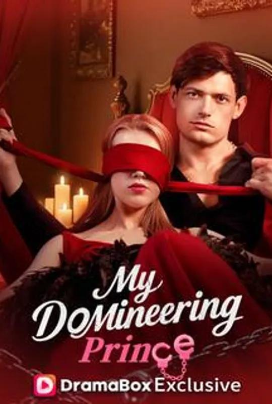 My Domineering Prince poster