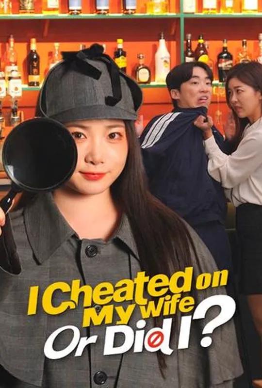 I Cheated on My Wife Or Did I? poster