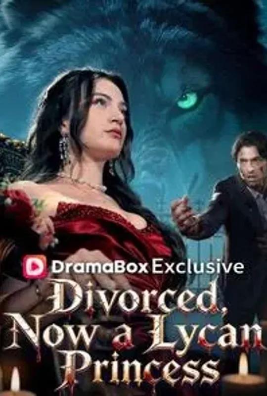 Divorced, Now a Lycan Princess poster