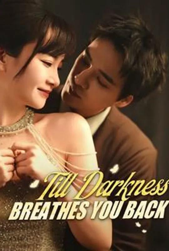 Till Darkness Breathes You Back poster