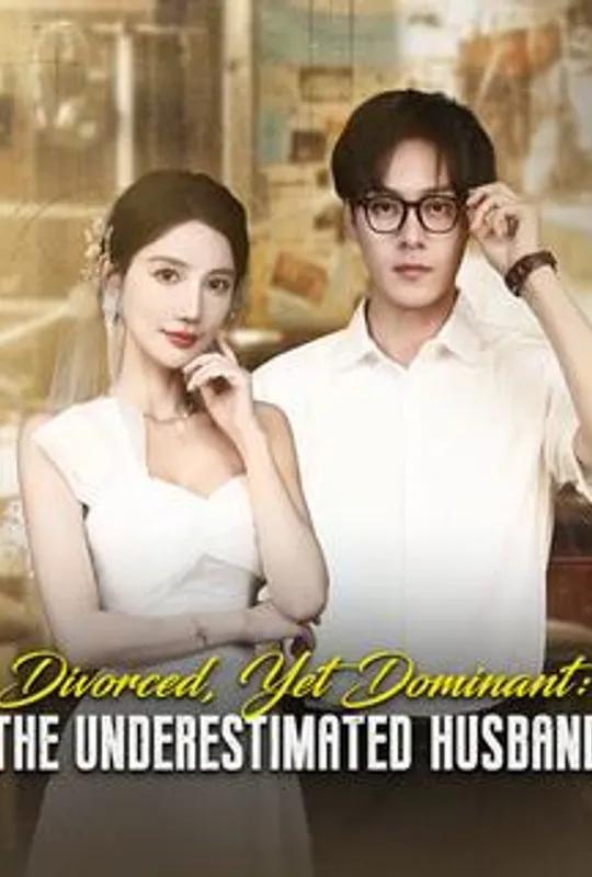 Divorced, Yet Dominant: The Underestimated Husband poster