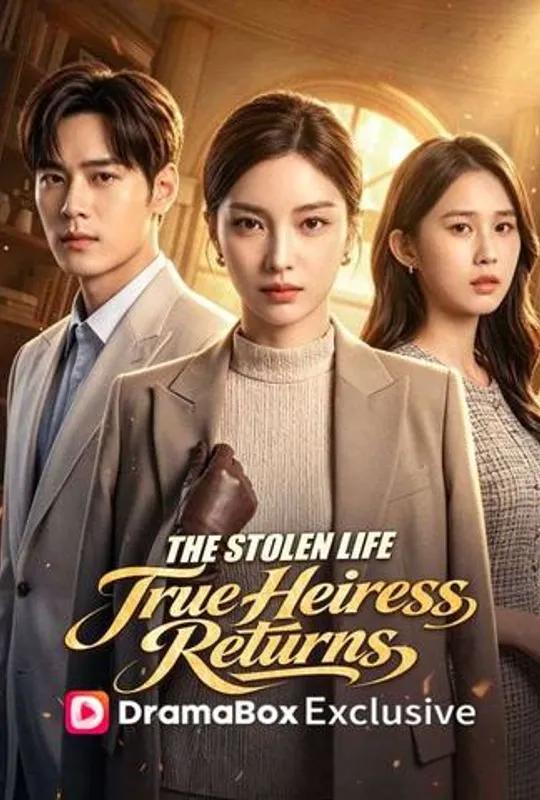 The Stolen Life:True Heiress Returns poster