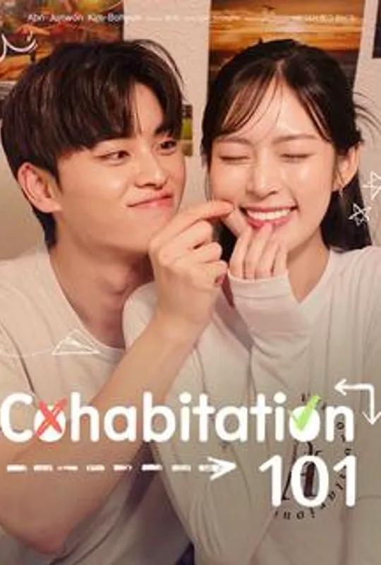 Cohabitation 101 poster