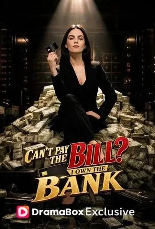 Can't Pay the Bill? I Own the Bank poster