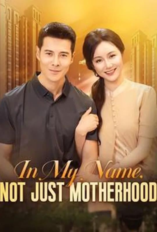 In My Name, Not Just Motherhood poster