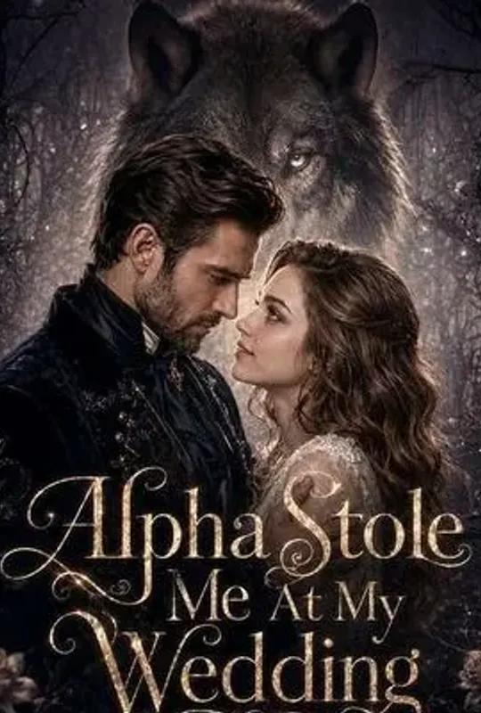 Alpha Stole Me At My Wedding poster