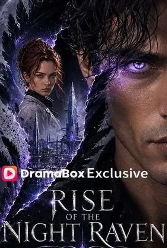 Rise of The Night Raven poster