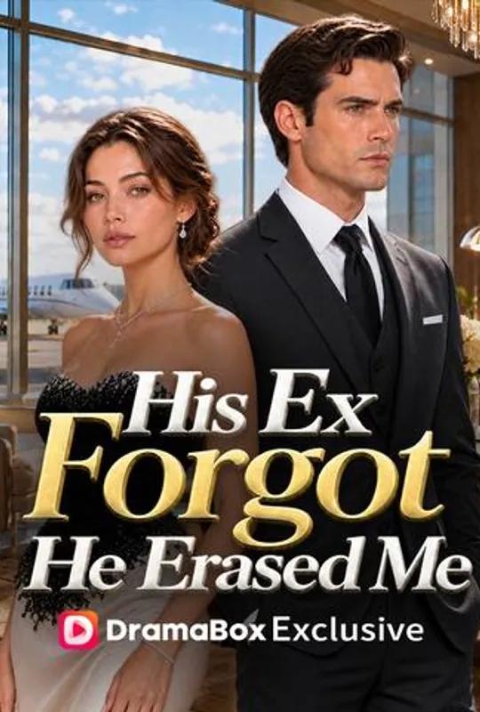 His Ex Forgot, He Erased Me poster